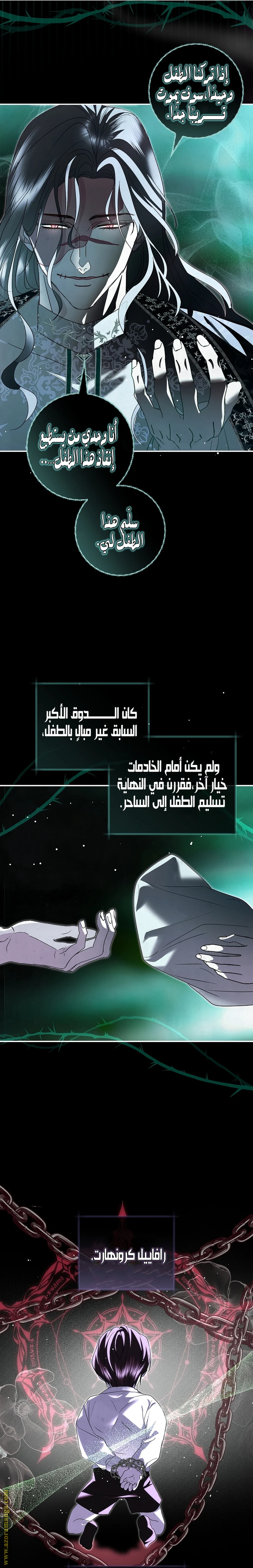 الصفحة 17