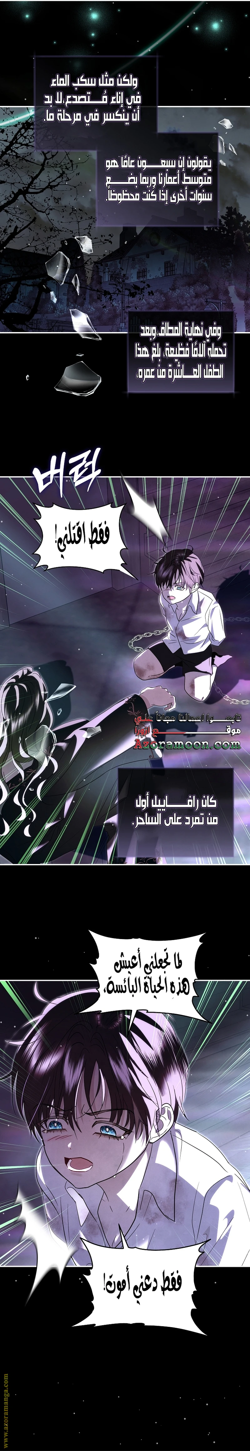 الصفحة 19