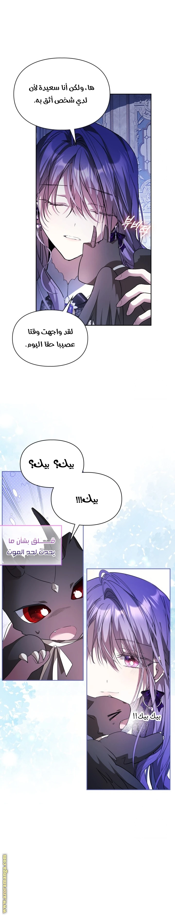 الصفحة 14