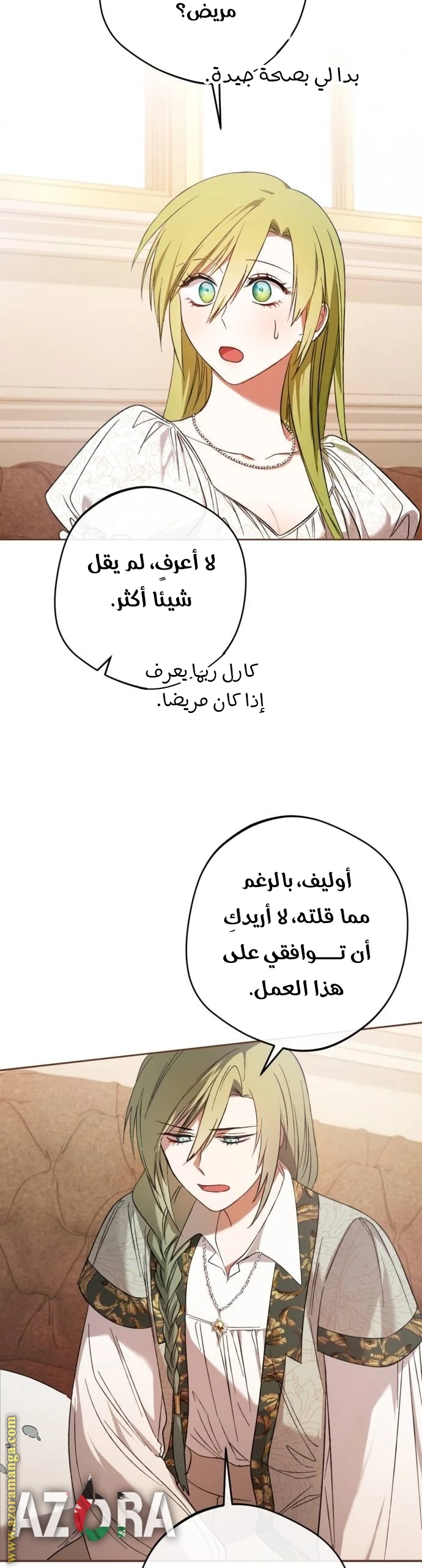الصفحة 29