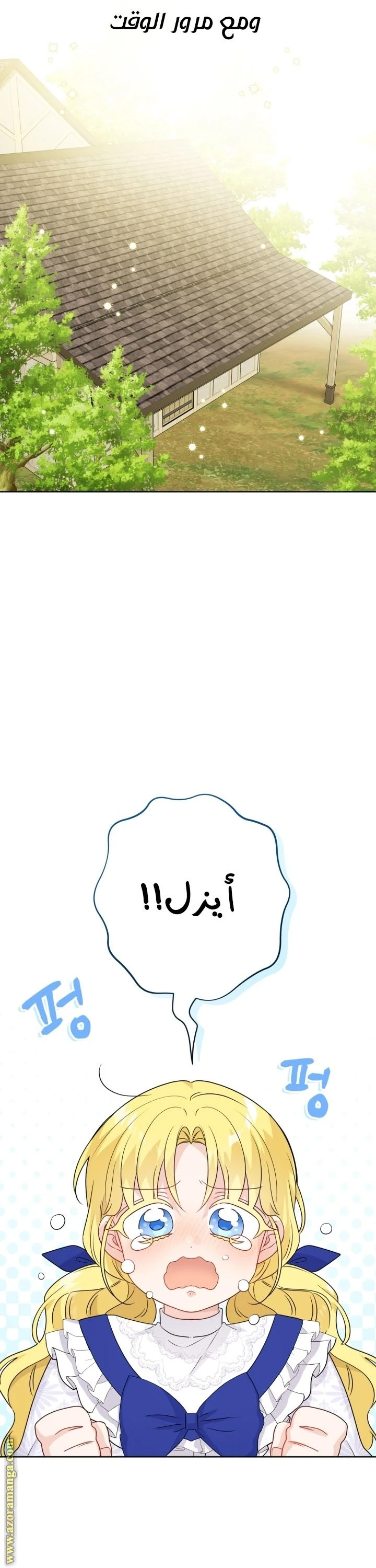 الصفحة 29
