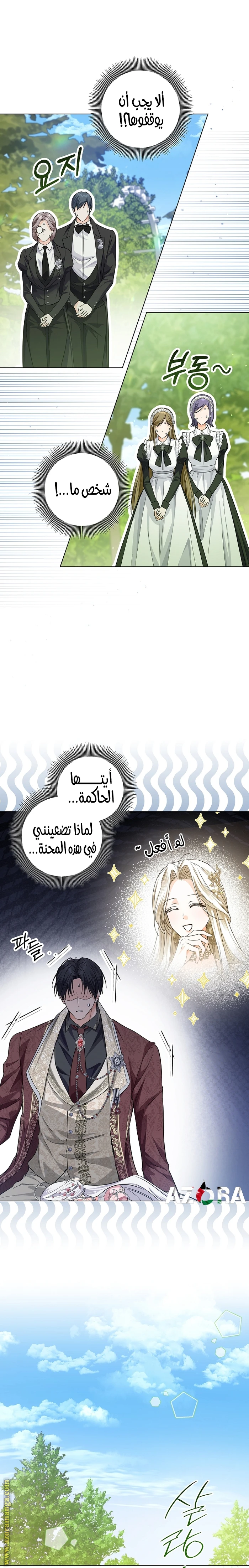 الصفحة 19