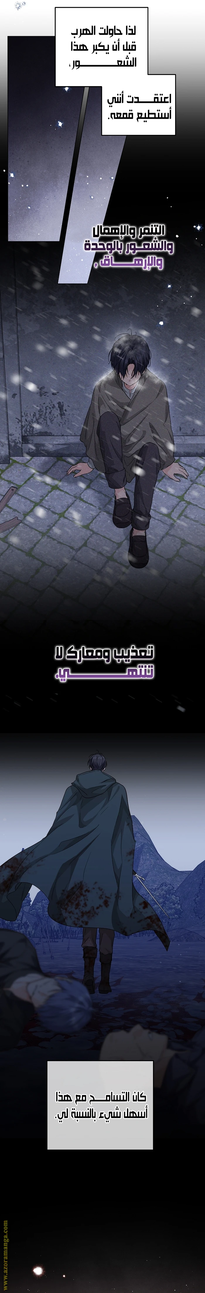 الصفحة 21