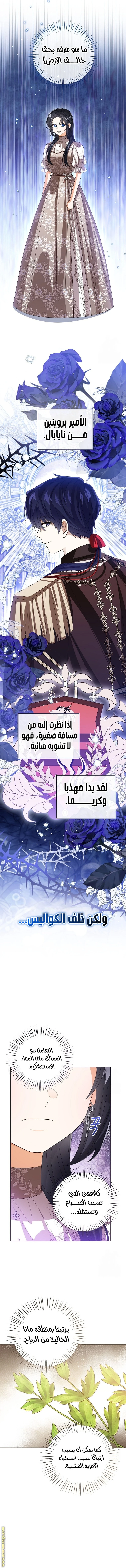 الصفحة 13