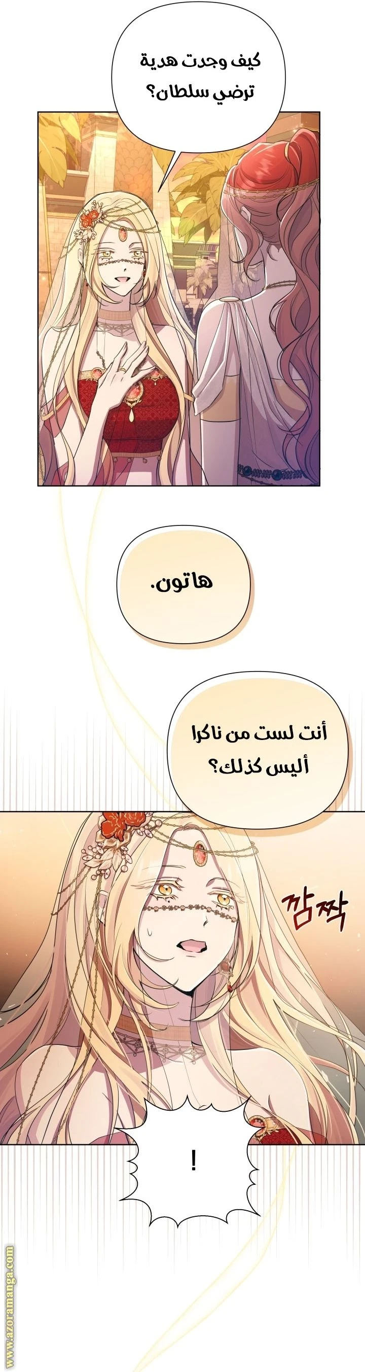 الصفحة 28