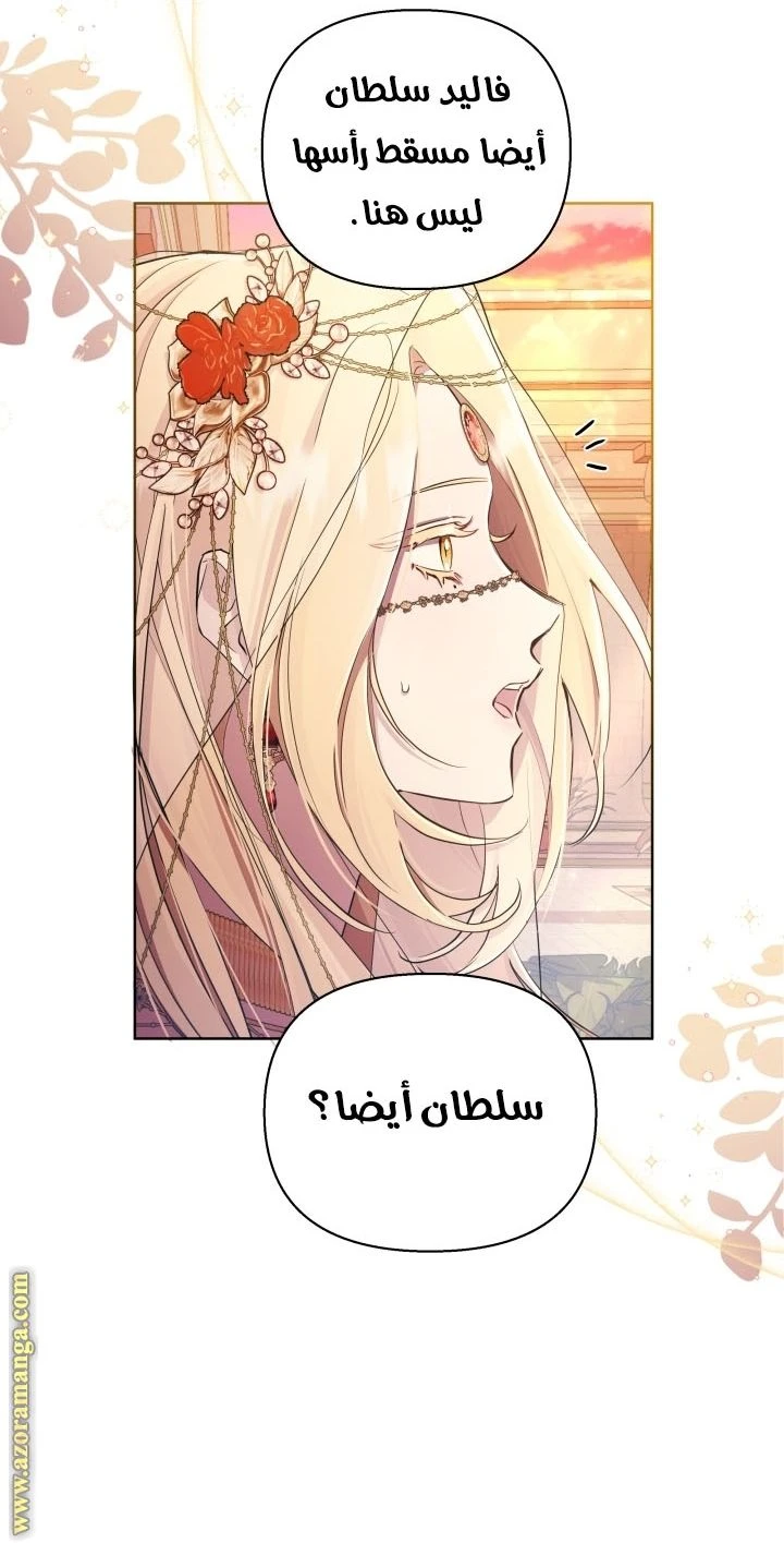 الصفحة 30