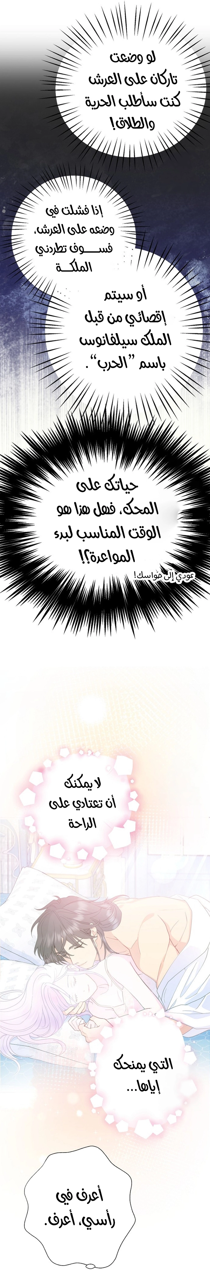 الصفحة 17