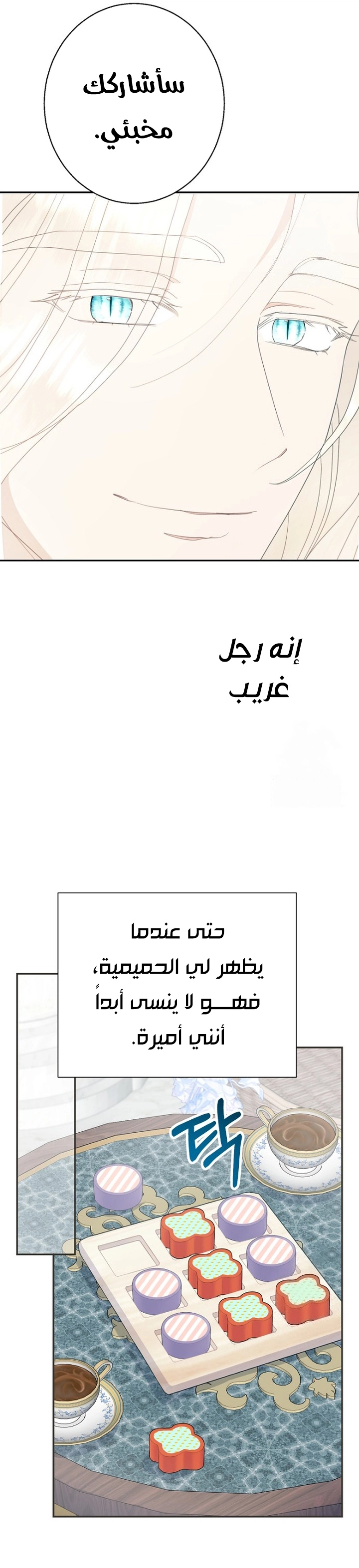 الصفحة 22