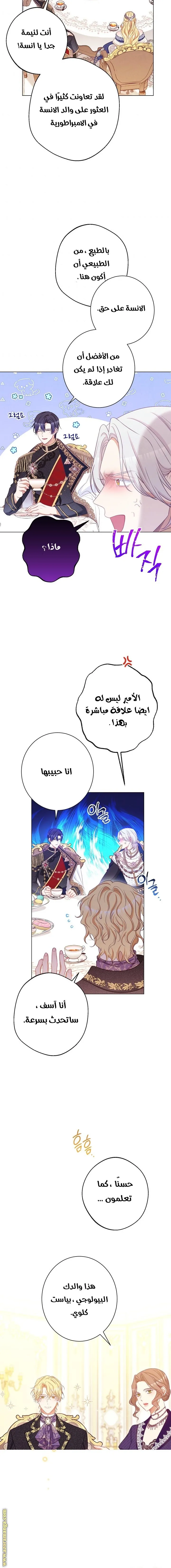 الصفحة 15