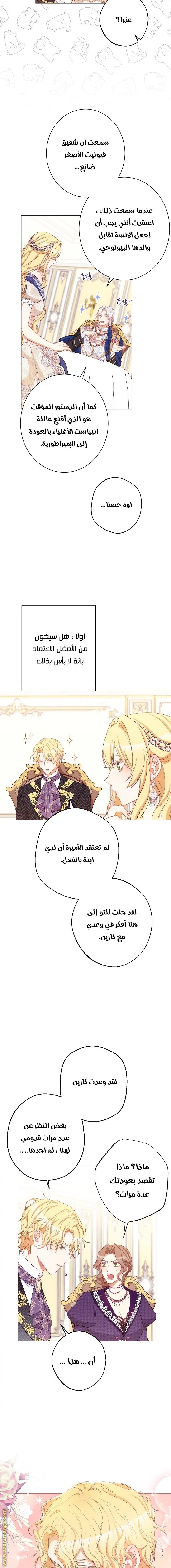 الصفحة 17