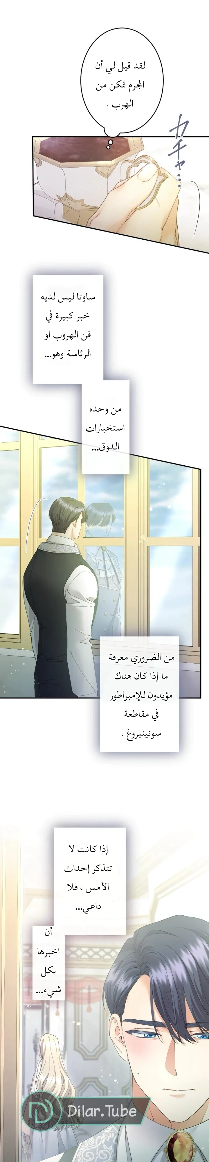 الصفحة 11