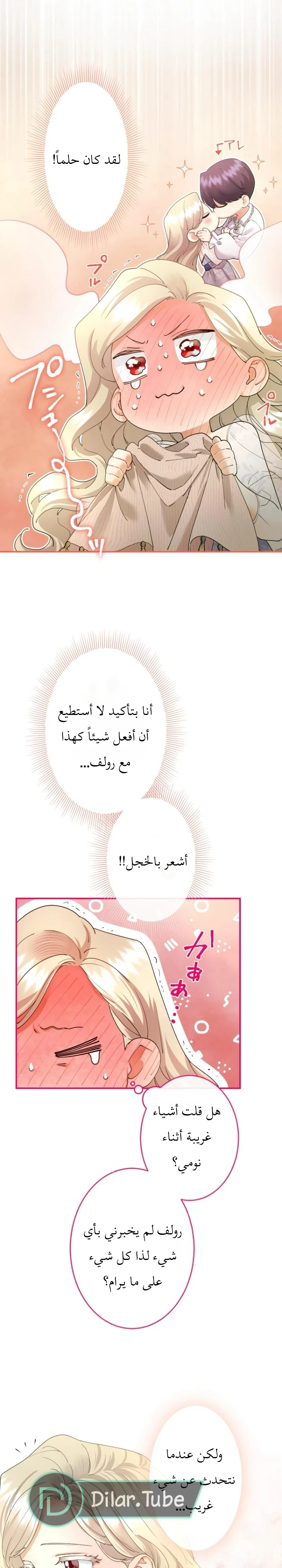 الصفحة 13