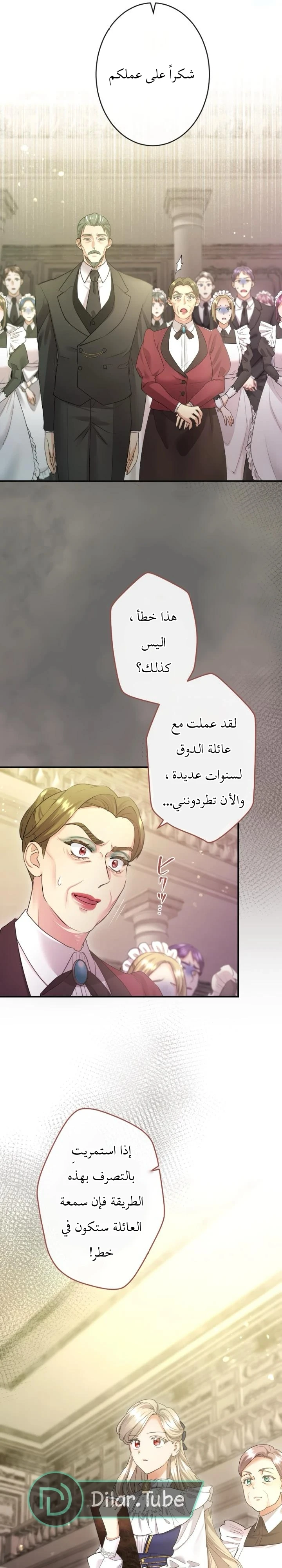 الصفحة 17