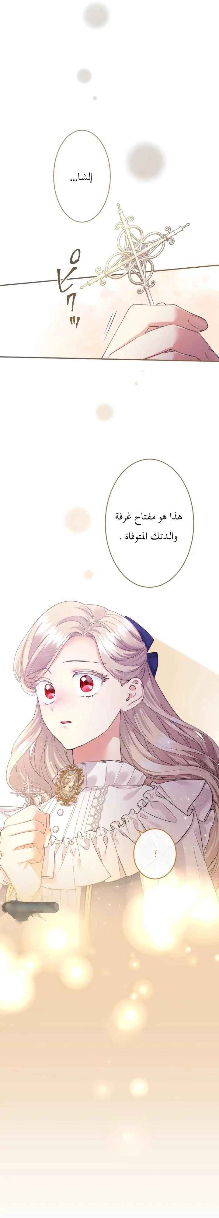 الصفحة 29