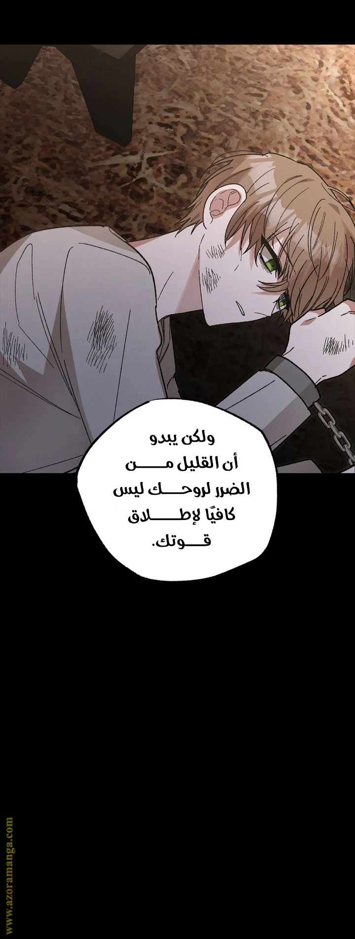الصفحة 26