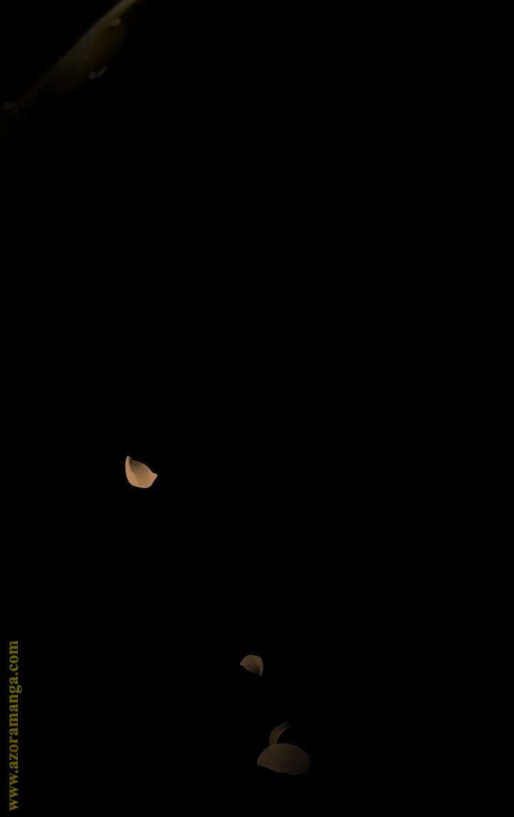 الصفحة 47