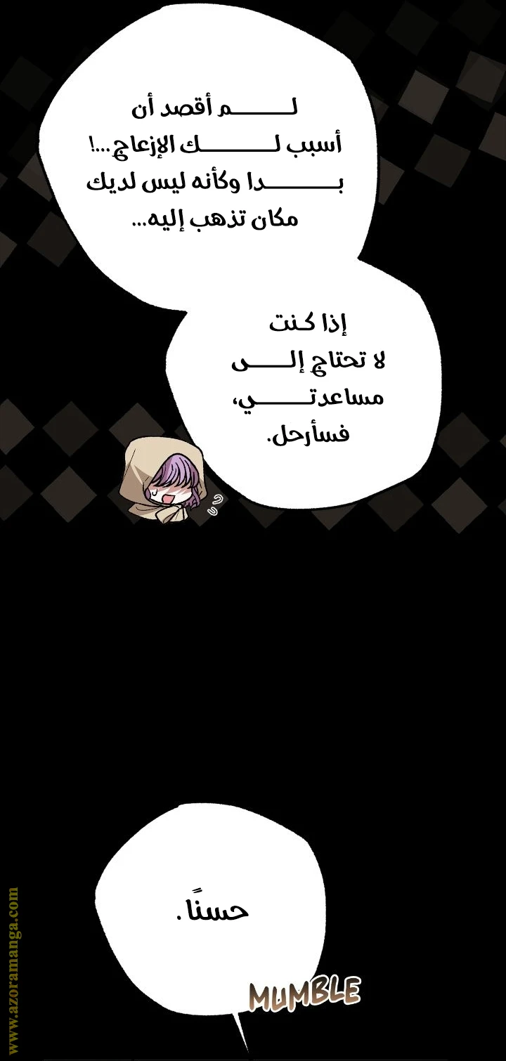 الصفحة 67