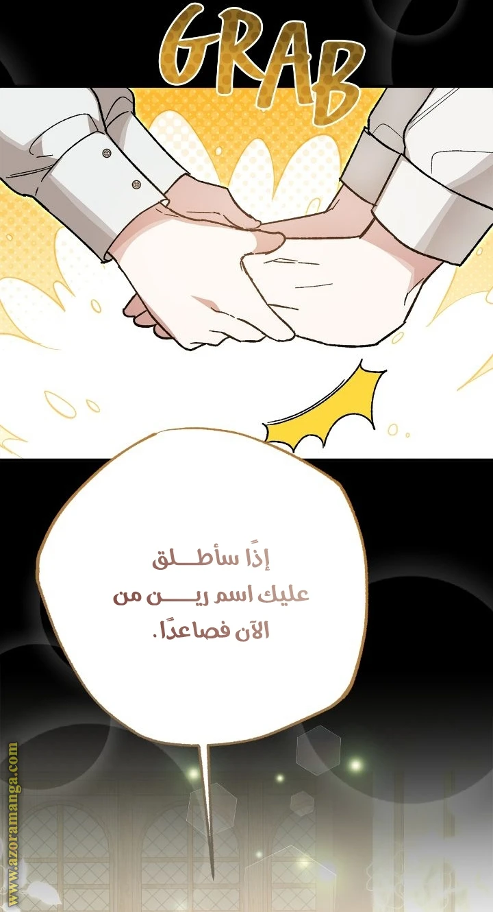 الصفحة 73
