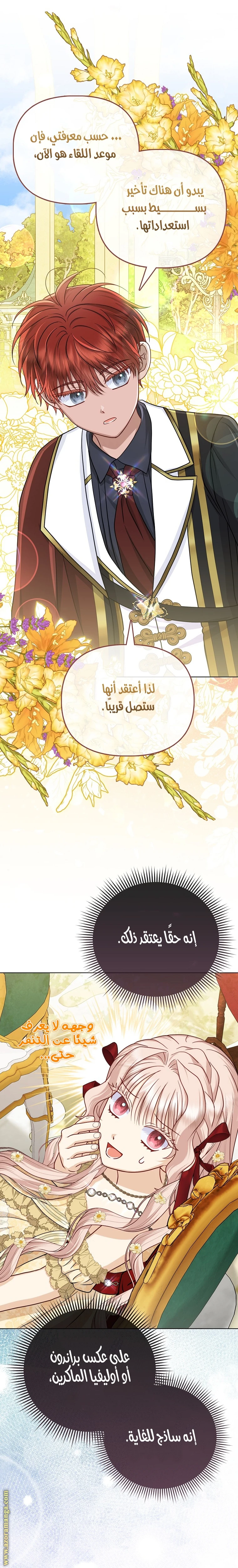 الصفحة 17