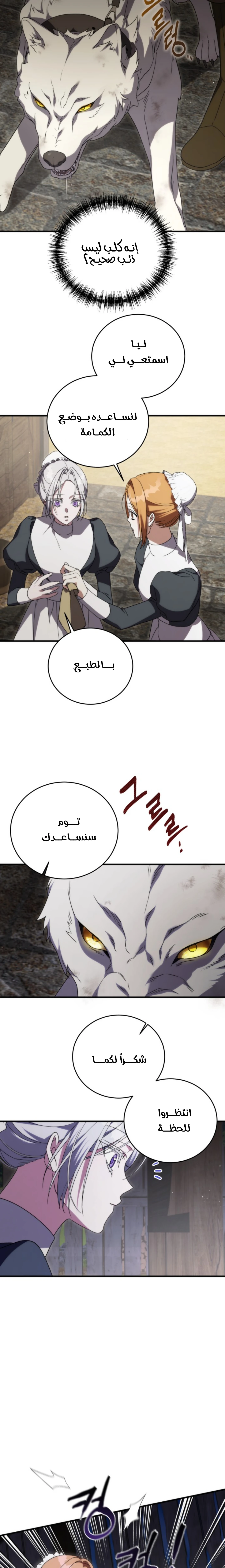 الصفحة 19