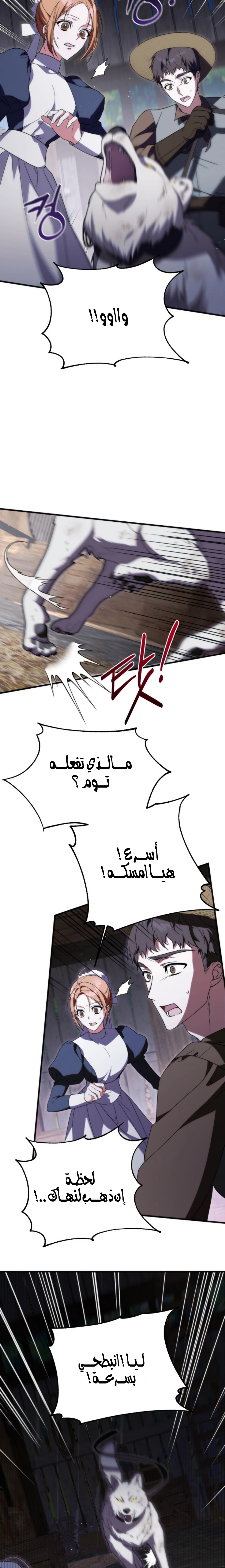 الصفحة 20