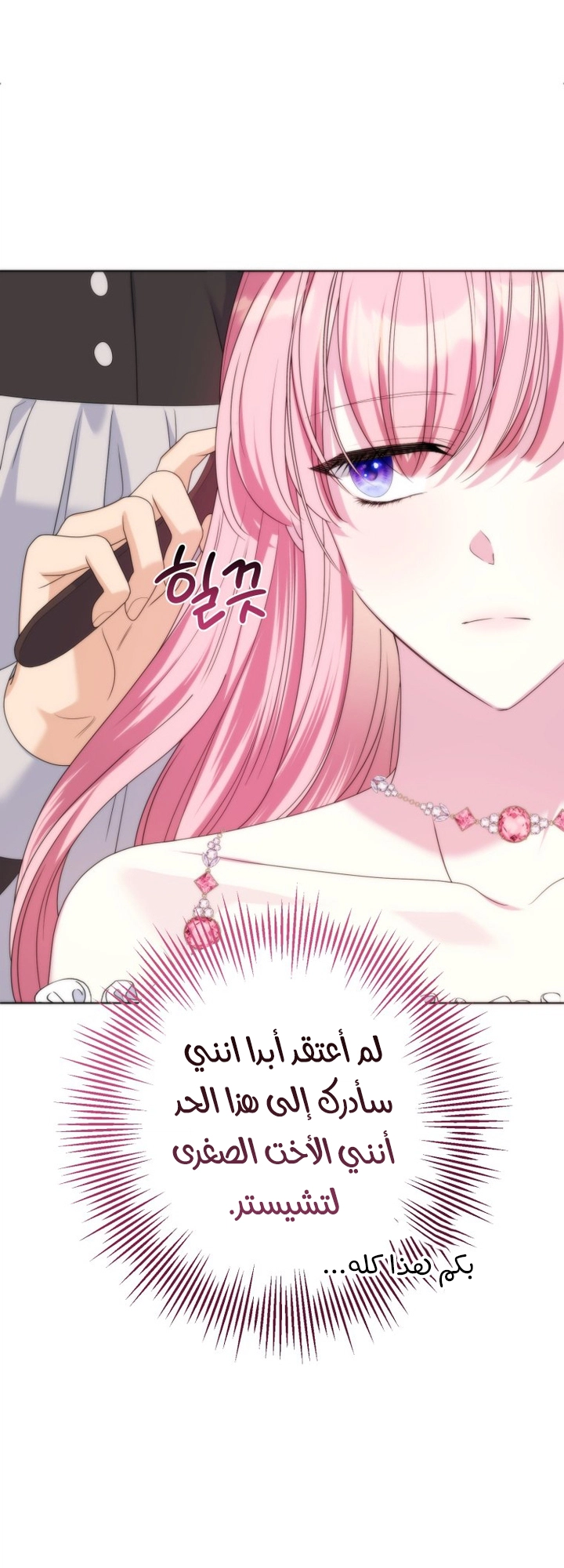 الصفحة 24