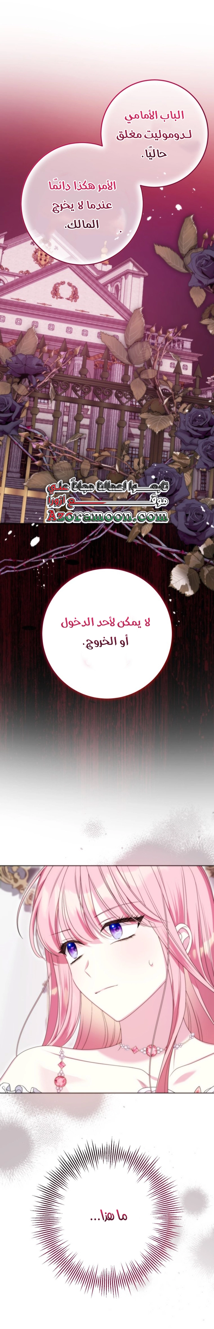 الصفحة 27