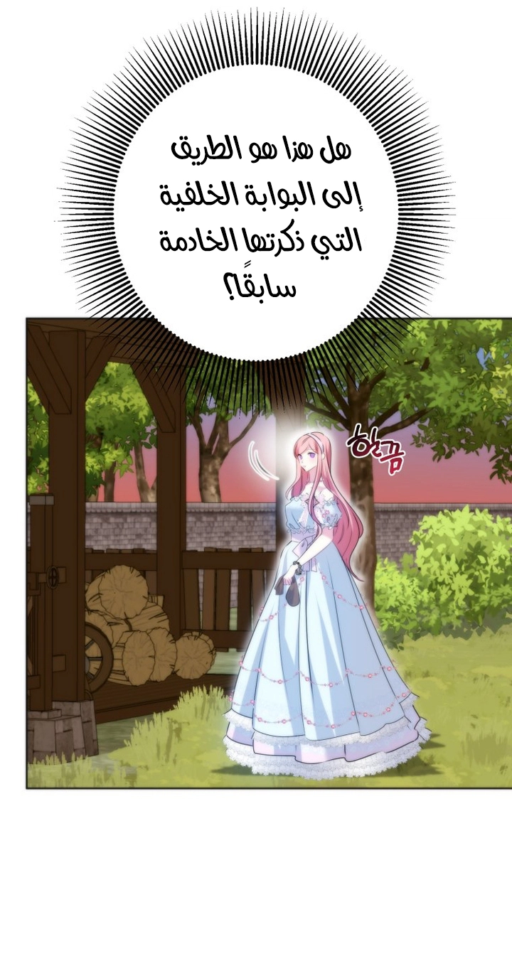 الصفحة 40