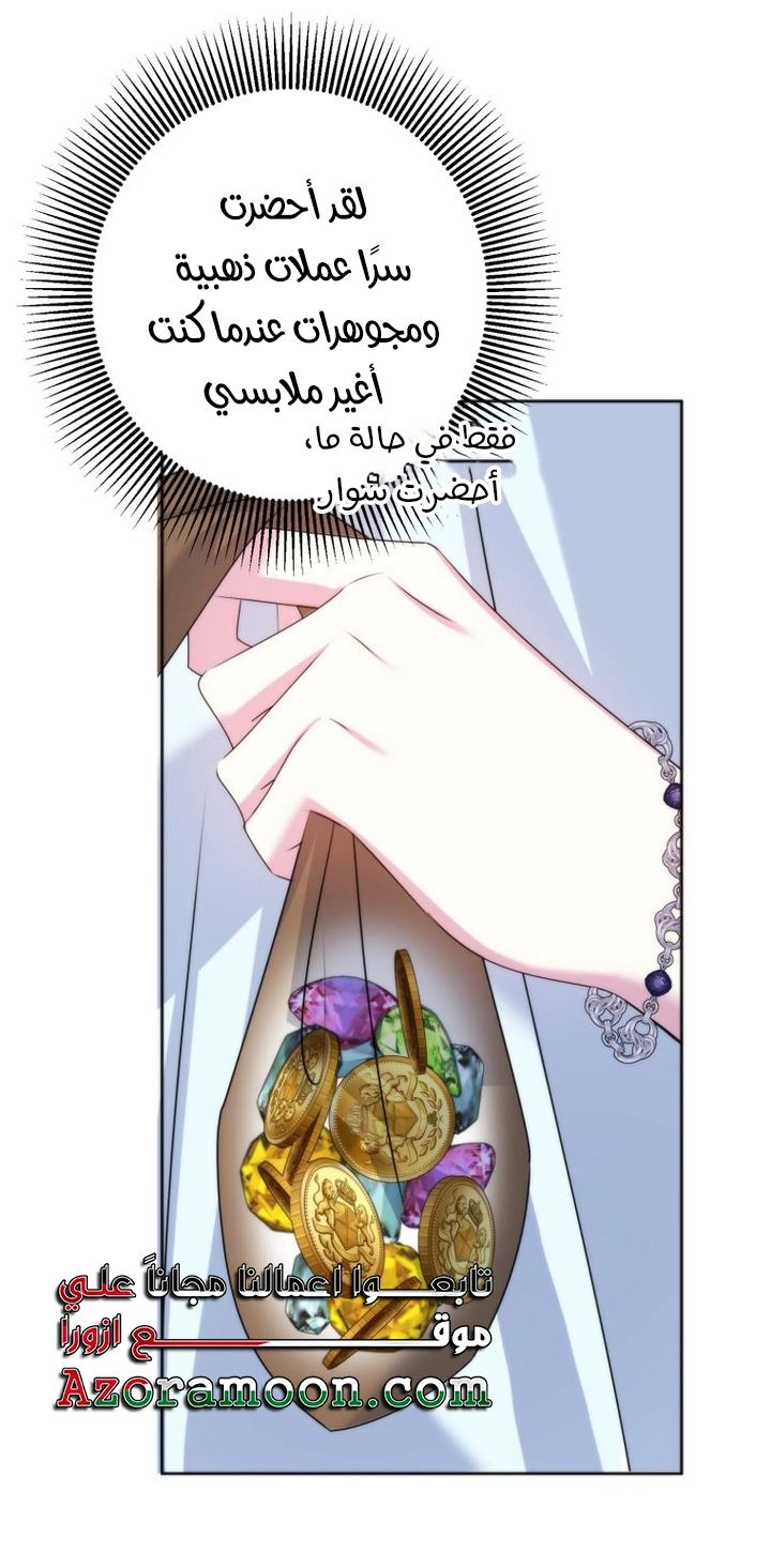 الصفحة 42
