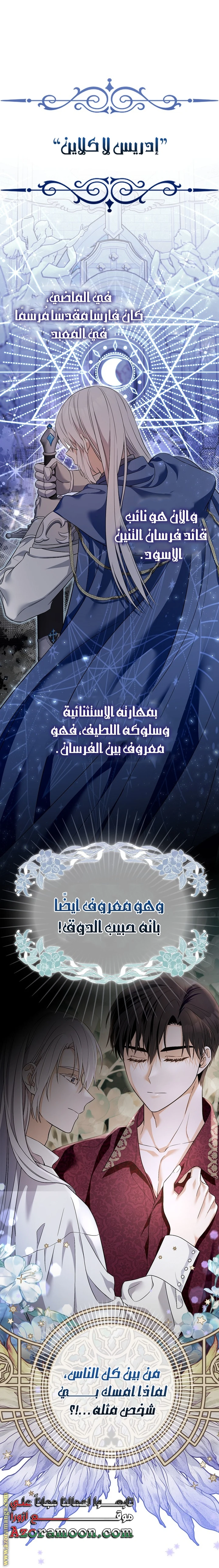 الصفحة 17