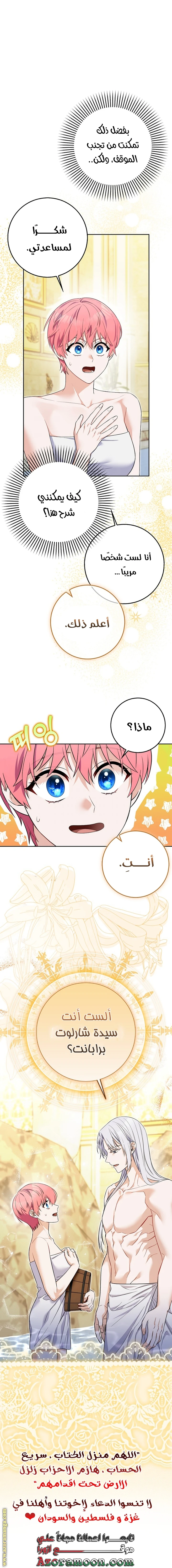 الصفحة 19