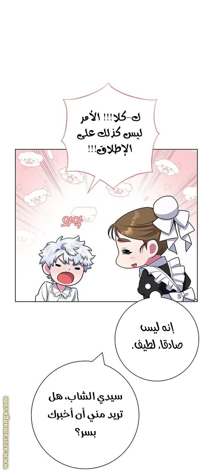 الصفحة 14