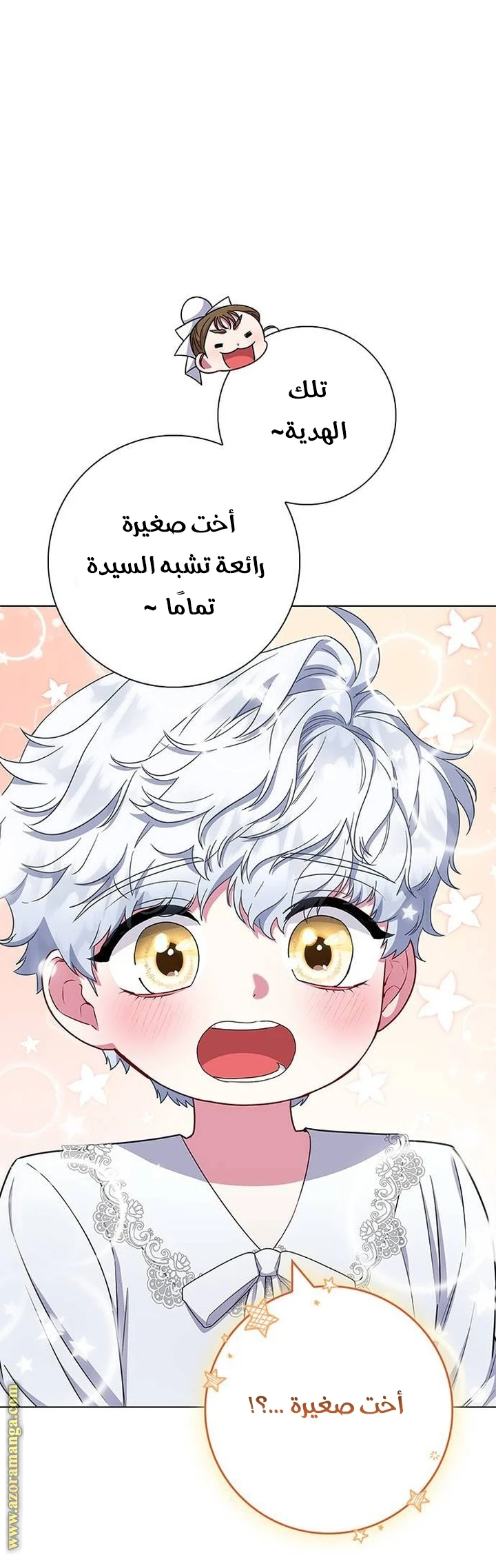 الصفحة 19