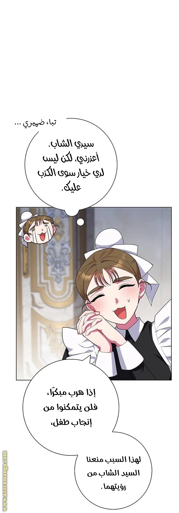 الصفحة 25