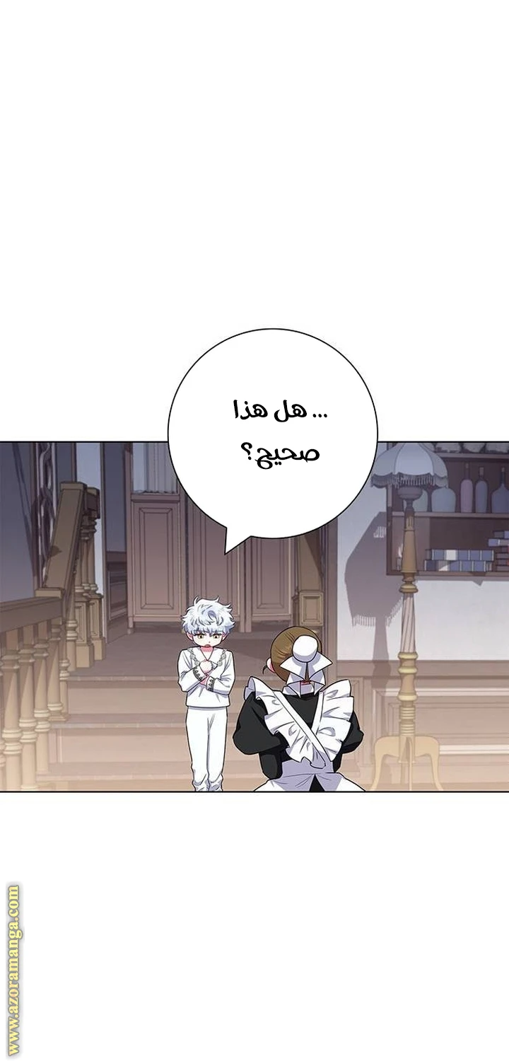 الصفحة 26
