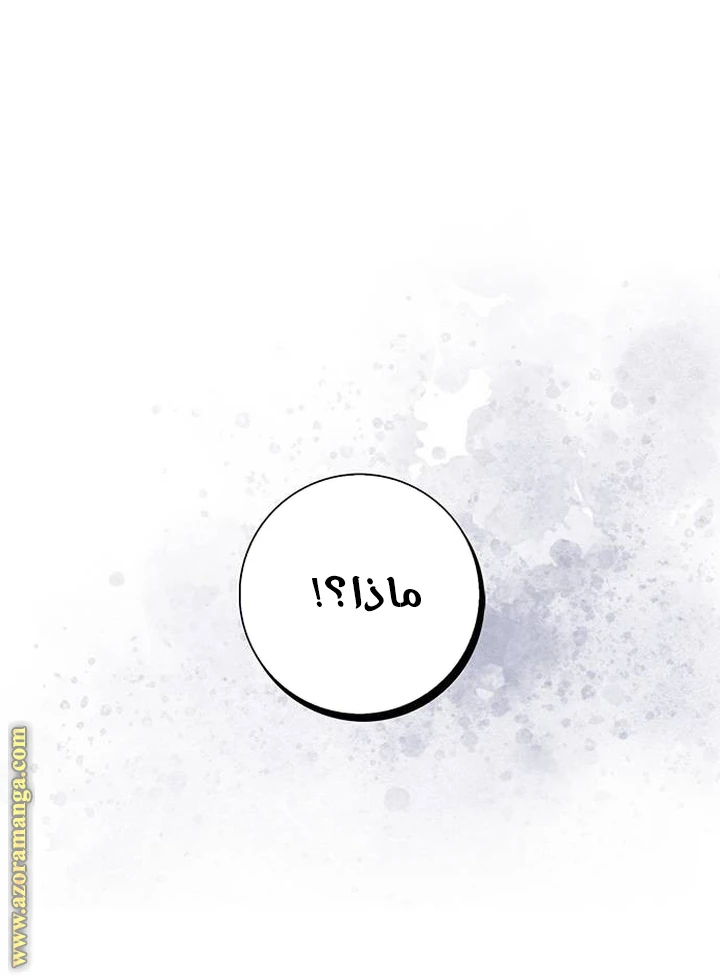 الصفحة 65