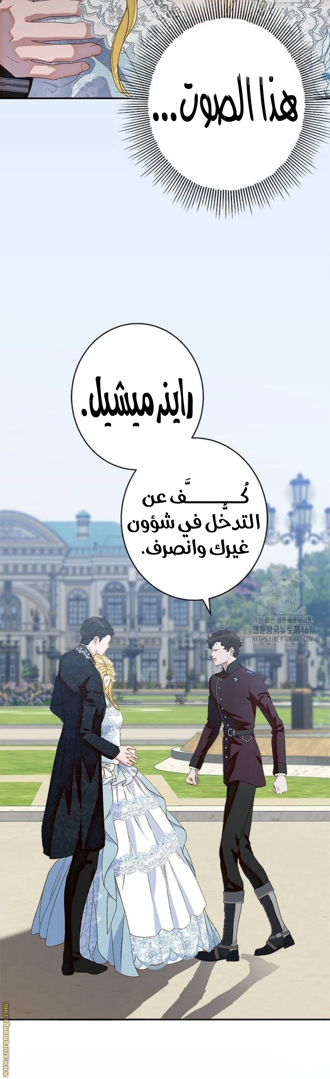 الصفحة 25