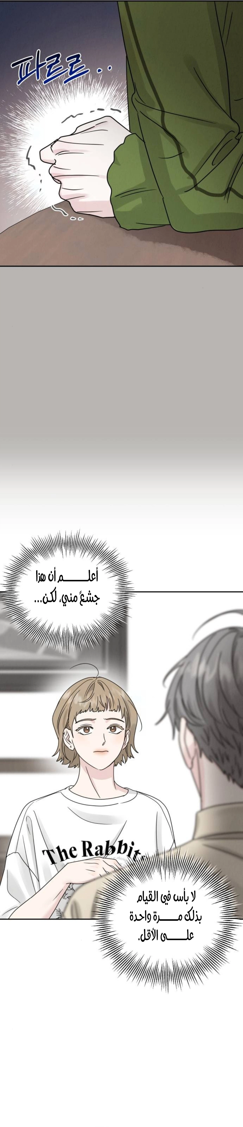 الصفحة 17