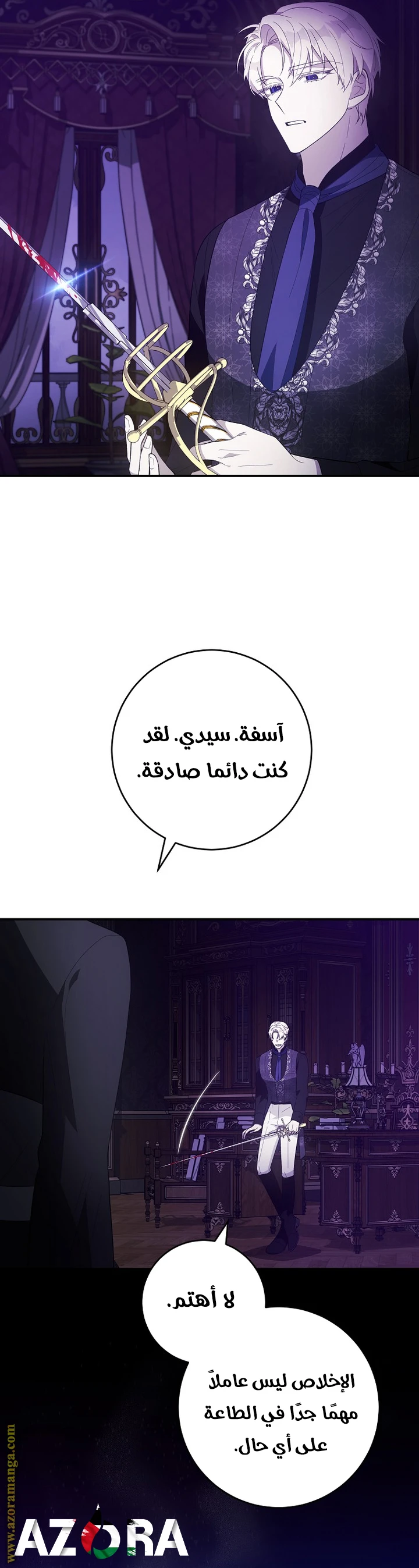 الصفحة 13