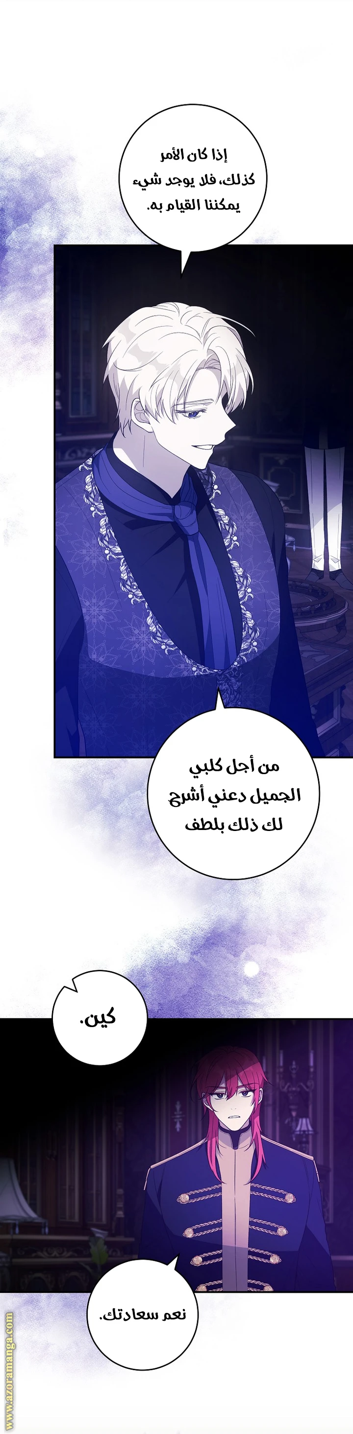 الصفحة 17