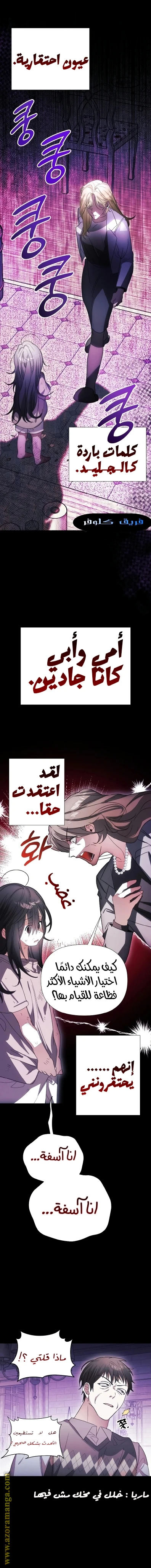 الصفحة 13