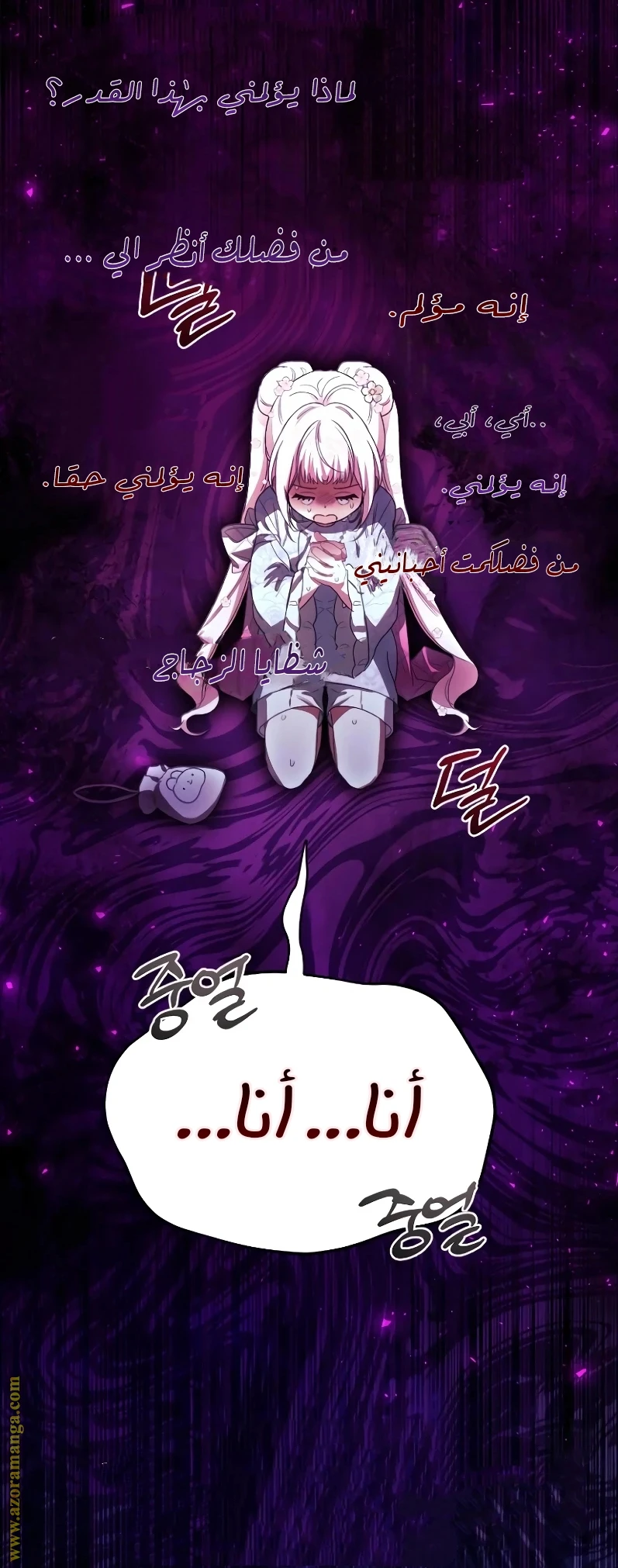 الصفحة 17