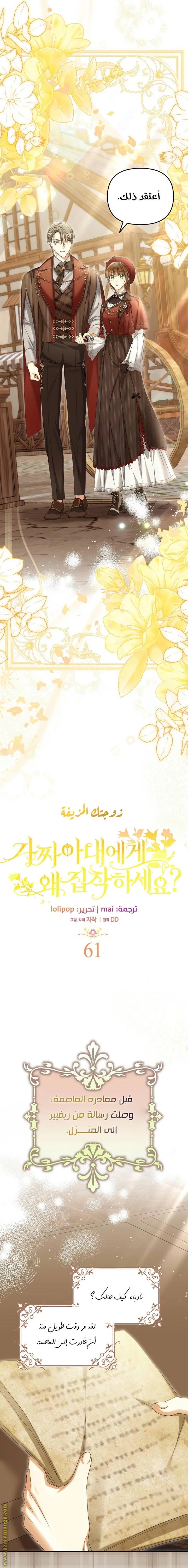 الصفحة 17