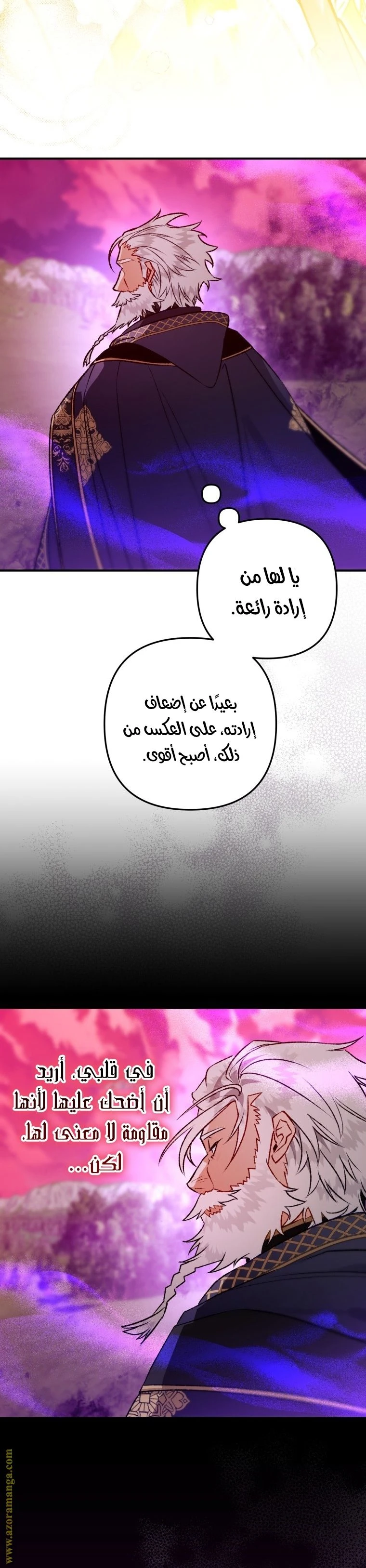 الصفحة 25