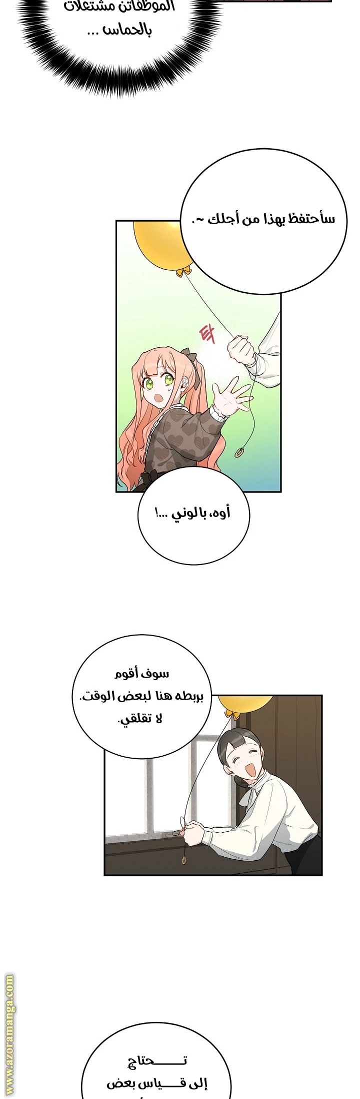 الصفحة 17