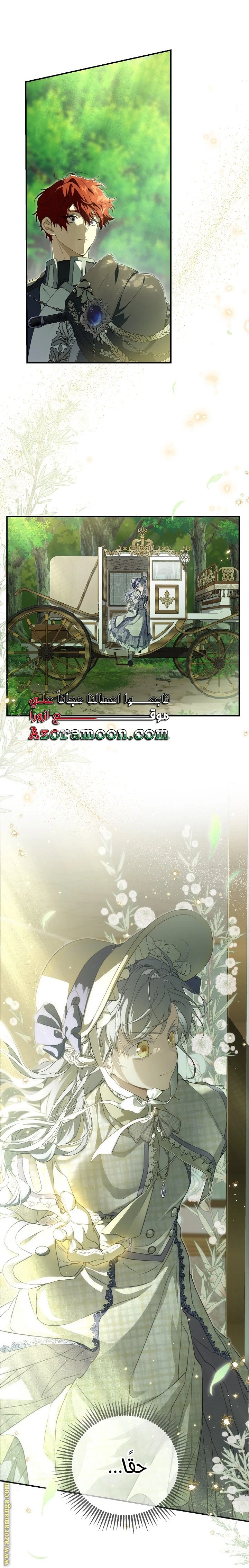 الصفحة 19