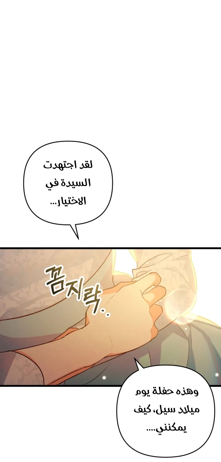 الصفحة 27