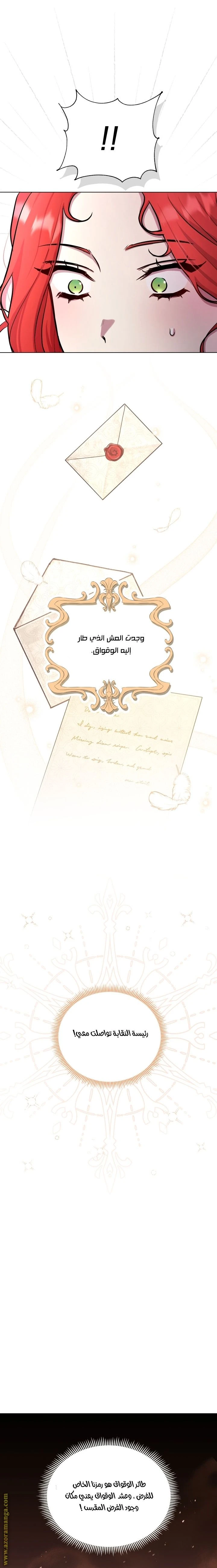 الصفحة 19