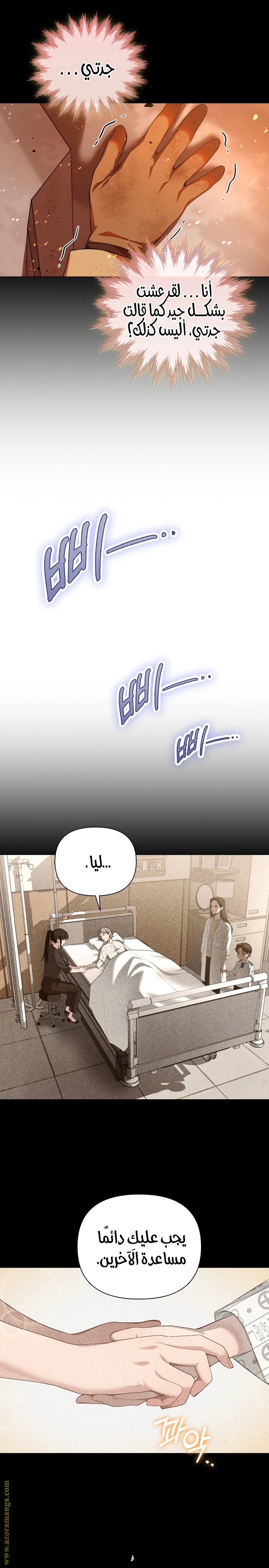 الصفحة 25