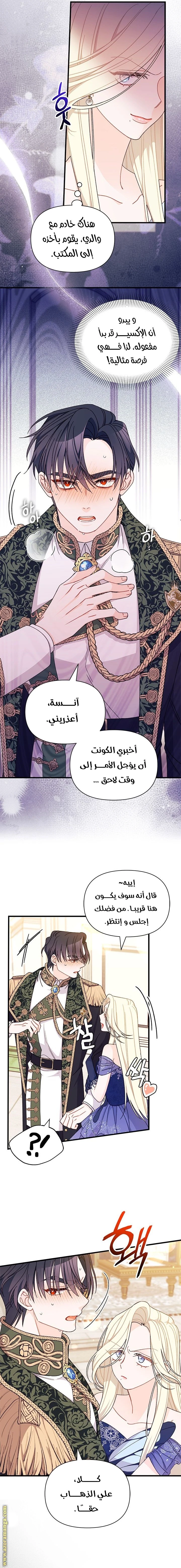 الصفحة 11